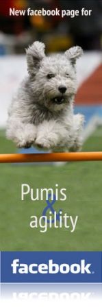 facebook page for pumis & agility.
