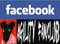 Facebook Felálló-Fülű Pumi Agility FanClub