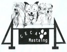 logo CECAM Mastaing