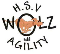 Logo HSV WOLZ