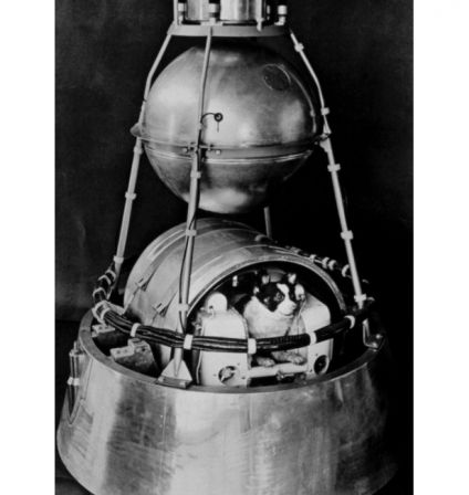 November 3, 1957: Laika the space dog
