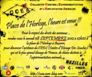 Rassemblement contre le CEDS (Centre d'élevage des Souches à Mézilles - 89130), le samedi 8 septembre 2012 à Auxerre