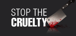 Stop the Cruelty