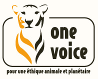 Logo One Voice France