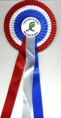 Championnat de France 2010 - Meilleur de Race