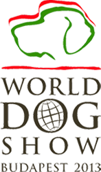 logo WDS2013