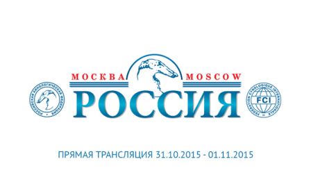 RKF Russia logo