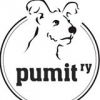 Pumit ry logo