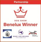 Benelux Winner