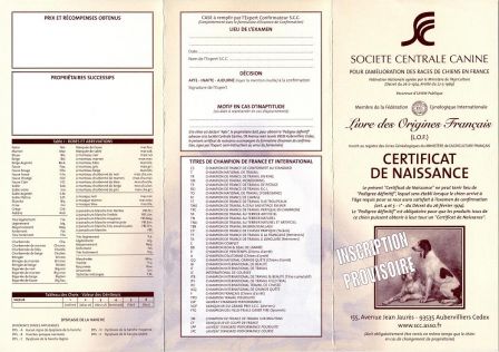 Certificat de naissance LOF recto 2010