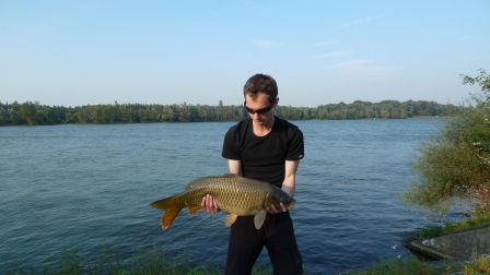 Poisson du Danube pêché (avant sa remise à l'eau)