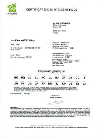 Certificat d'Identification Génétique de Fény