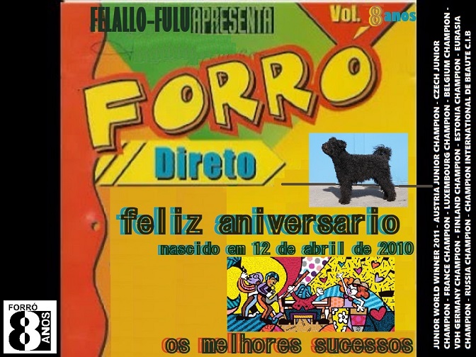 Pumi Felallo-Fulu Forró - 8th anniversary