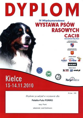 WYSTAWA PSOW RASOWYCH CACIB - Kielce 13112010 - Diplome