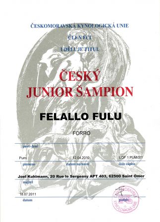 ČESKÝ JUNIOR ŠAMPION (Champion de République Tchèque Junior) - Pumi Felálló-Fülű Forró