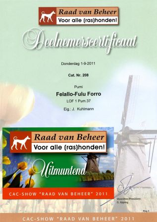 Felallo-Fulu Forro - Deelnemerscertificaat - CAC Show Raad Van Beheer 2011 - 01/09/2011