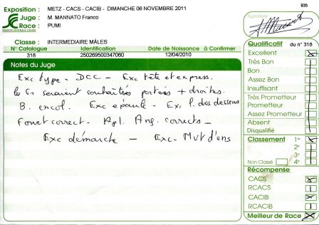 Résultat METZ - CACIB - Dimanche 06 novembre 2011 - Pumi Felallo-Fulu Forro