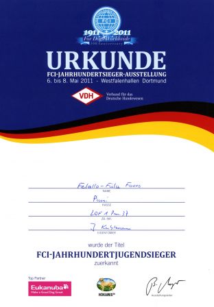 Titel FCI-JAHRHUNDERTSIEGER - Felallo-Fulu Forro - Dortmund 08.05.2011