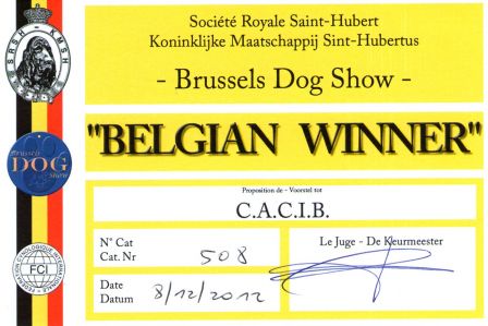 Pumi Felallo Fulu Forro - BELGIAN WINNER CACIB BRUSSELS Dog Show 08/12/2012