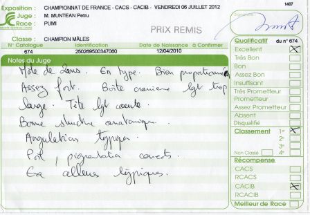 Pumi Felallo-Fulu Forro - Championnat de France 2012 - Metz le 06 juillet 2012 - jugement