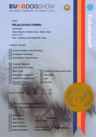 Resultats Championnat d'Europe - Pumi Felallo-Fulu Forro