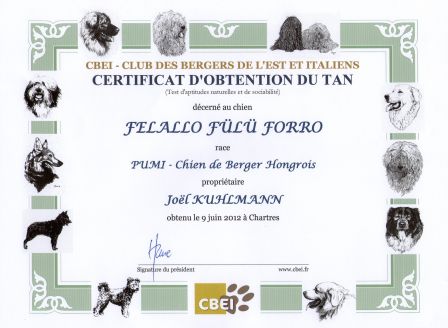 Certificat d'Obtention du TAN - CBEI - Pumi Felallo-Fulu Forro