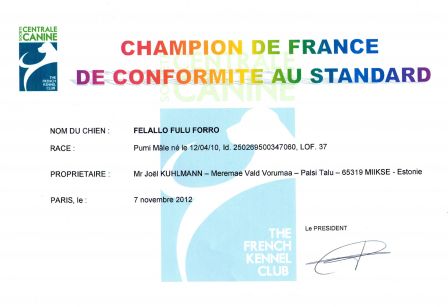 Pumi Felallo Fulu Forro - Champion de France de Conformité au Standard