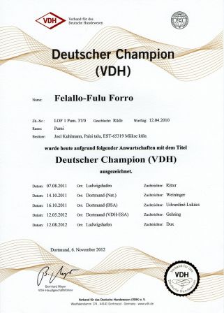 Pumi Felallo-Fulu Forro - Deutscher Champion (VDH)