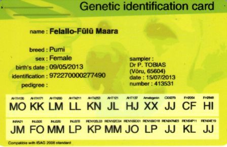 Genetic Identification Card Pumi Felallo-Fulu Maara