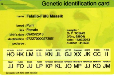 Pumi Felallo-Fulu Maasik Genetic Identification Card