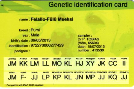 Pumi Felallo-Fulu Meeksi Genetic Identification Card
