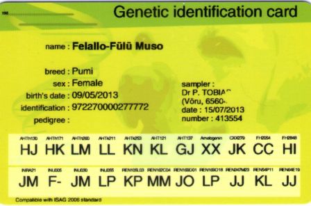 Pumi Felallo-Fulu Musõ Genetic Identification Card