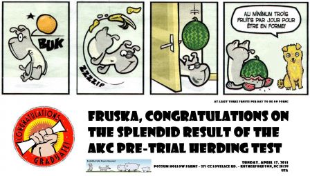 Congratulations - AKC Herding Pre-Trial Test - Sunday, April 17, 2011