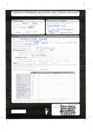Certificat vétérinaire obligatoire avant cession d'un chien - Fruska
