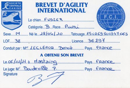 Brevet d'Agility International de Pumi  Felálló-Fülű Fűszer (Recto)