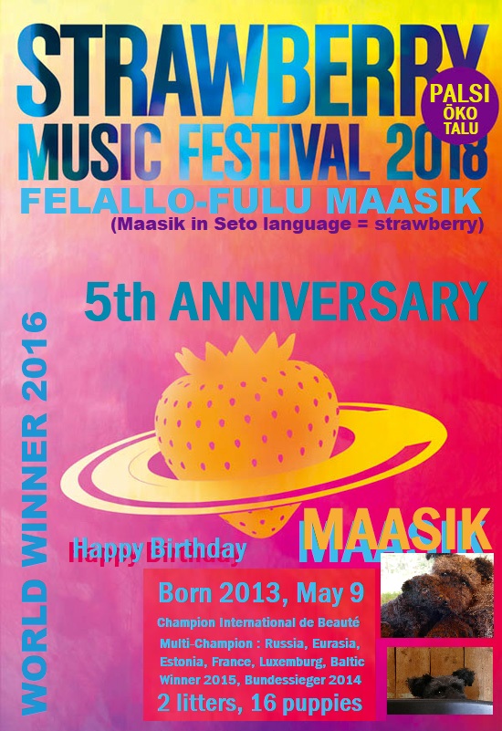 flyer 5th anniversary Maasik