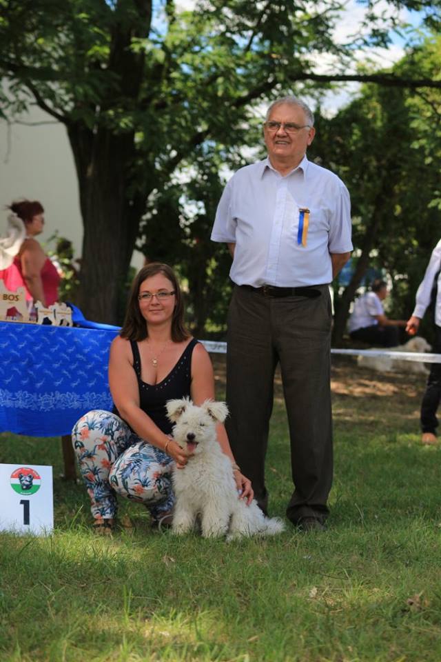 MPK Speciál CAC Kiállítás, Bugac, Hongrie : Best puppy FELALLO-FULU MUUMI avec Erika Pápis