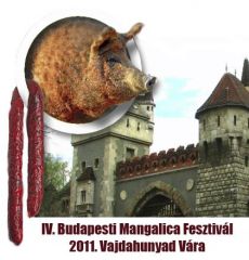 IV. Budapesti Mangalica Fesztivál