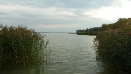 Lac Balaton à Balatongyörök