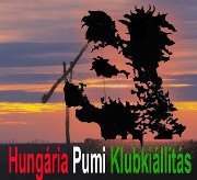 Hungaria Pumi Klubkiallitas