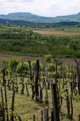 La région viticole de Badacsony est située sur la rive nord du lac Balaton