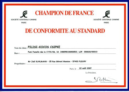 Champion de France