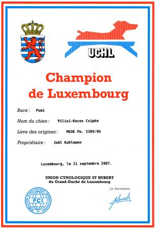 Champion de Luxembourg