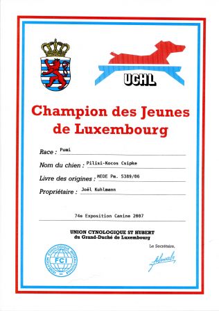 Champion des Jeunes de Luxembourg Csipke