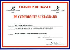 Champion de France Csipke