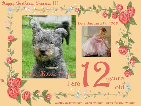 Csipke - j'ai 12 ans - 12th Birthday