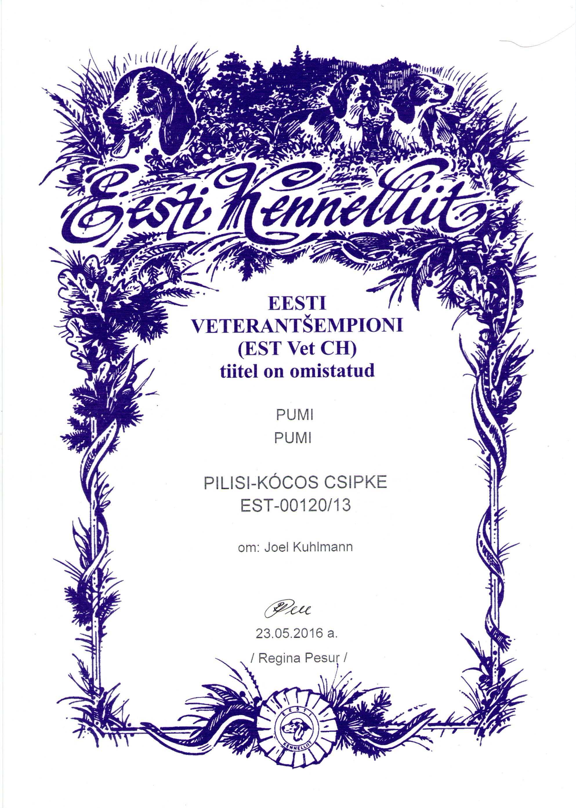 Estonian Veteran Champion EST Vet CH Pilisi-Kocos Csipke