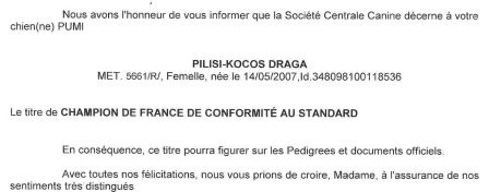 Titre ce Champion de France de conformité au Standard de Pilisi-Kócos Drága