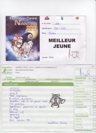 Expo Nantes 2012 - Compte-rendu jugement Akinnaz Inouk