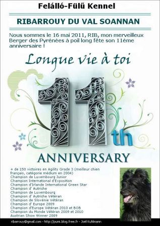 Poster 11th anniversary - Ribarrouy du Val Soannan